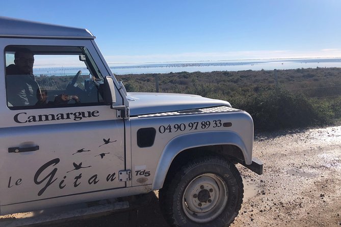 Camargue 4x4 Safari Day - Pricing and Booking Information