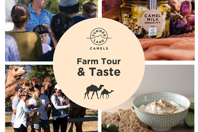 Camel Farm Tour and Taste - Customer Reviews