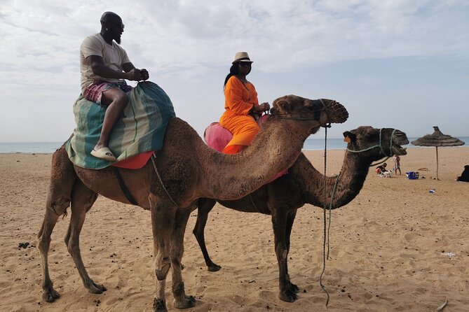 Camel Ride in Tanger - Cultural Insights and Scenic Views