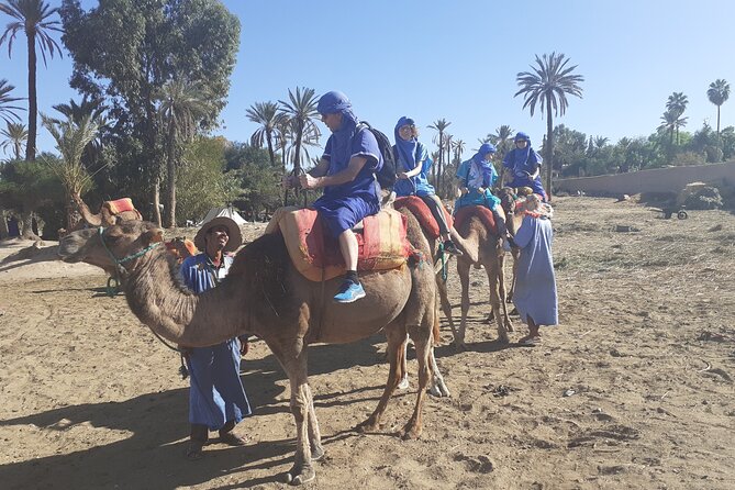 Camel Ride & Quad Bike Tours in the Palm Grove of Marrakech - Common questions