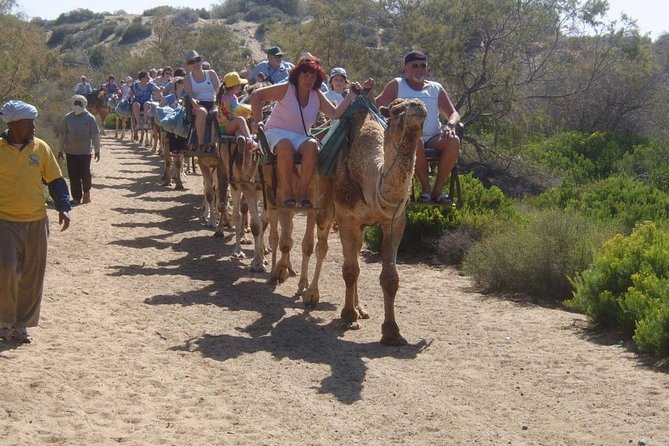 Camel Riding in Maspalomas Dunes - Additional Information