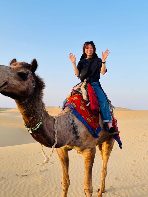 Camel Safari Half Day Desert Experience - Key Points