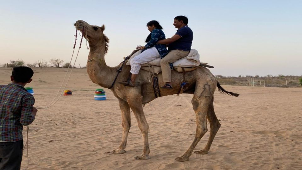 Camel Safari Half Day Tour in Jodhpur With Dinner - English-Speaking Driver for Pickup