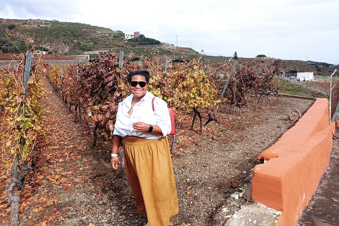 Canarian Wine Tasting Private Full-Day Tour and Aloe Vera Farm - Common questions