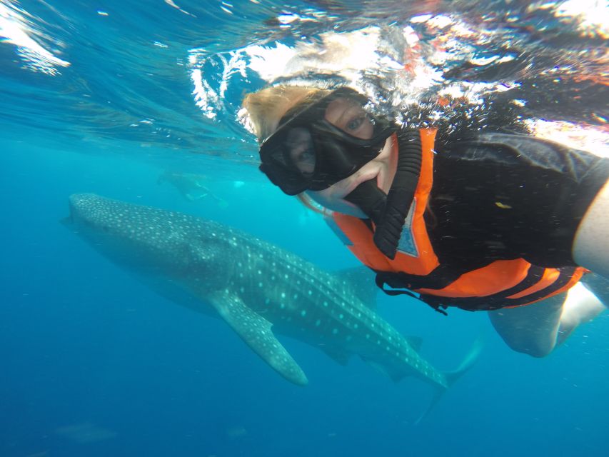 Cancun & Riviera Maya: Swim With Whale Sharks Tour W/ Lunch - Food and Refreshments
