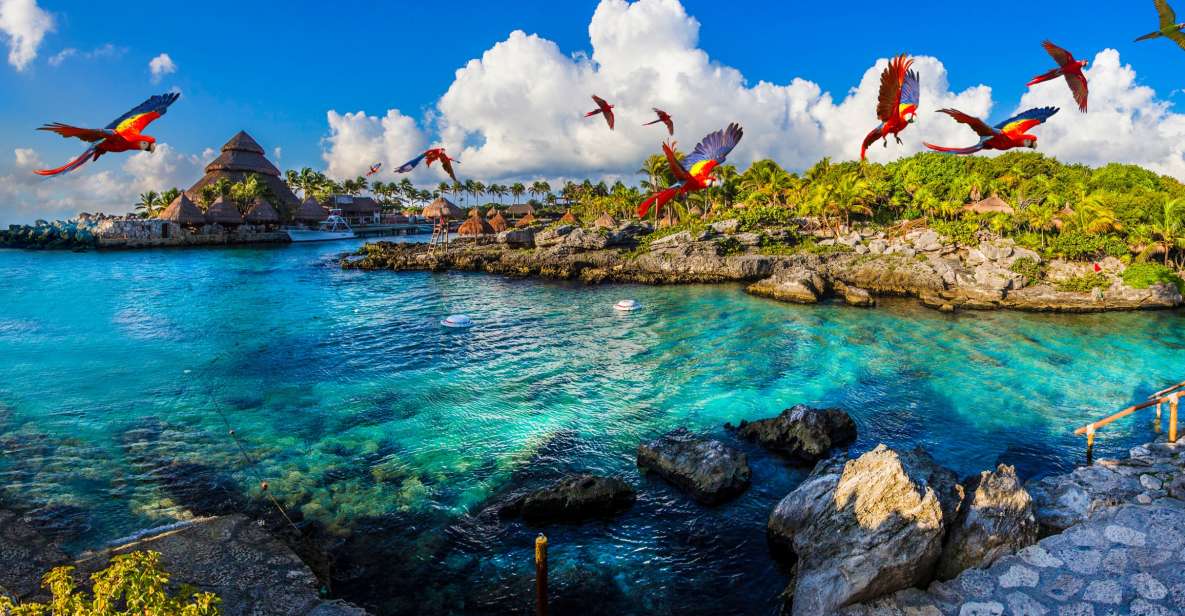 Cancun & Riviera Maya: Xcaret & Xplor Parks With Transport - Inclusions for a Memorable Adventure