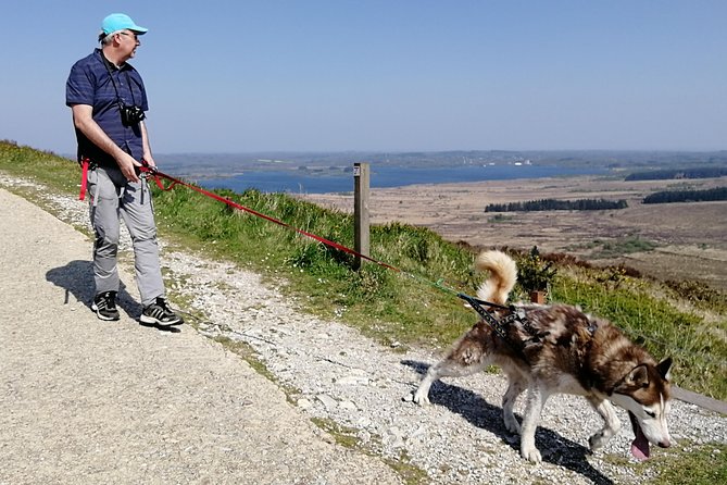 Cani Rando, Fun and Original Hiking, Pulled by Huskies - Discover Cani Rando: An Overview