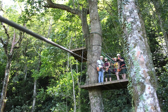 Canopy Tour With Superman and Tarzan Swing in La Fortuna - Highlights of the Tour