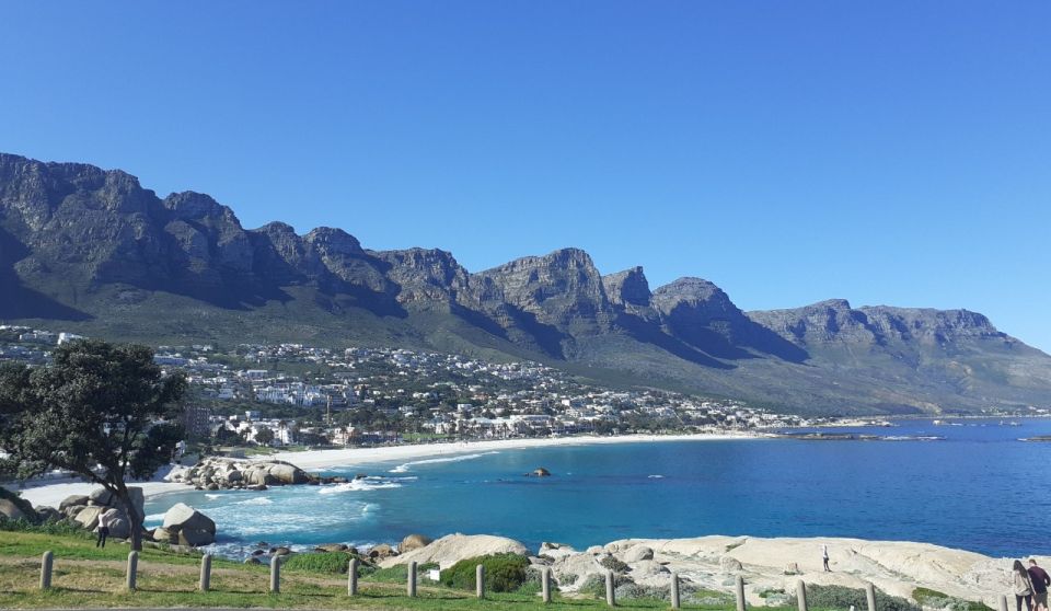 Cape of Good Hope: Sightseeing and African Penguins Tour - Key Features