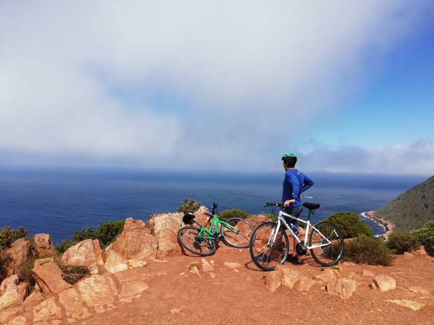 Cape Peninsula: Cycle & Drive Private Full Day Tour - Tour Highlights and Activities