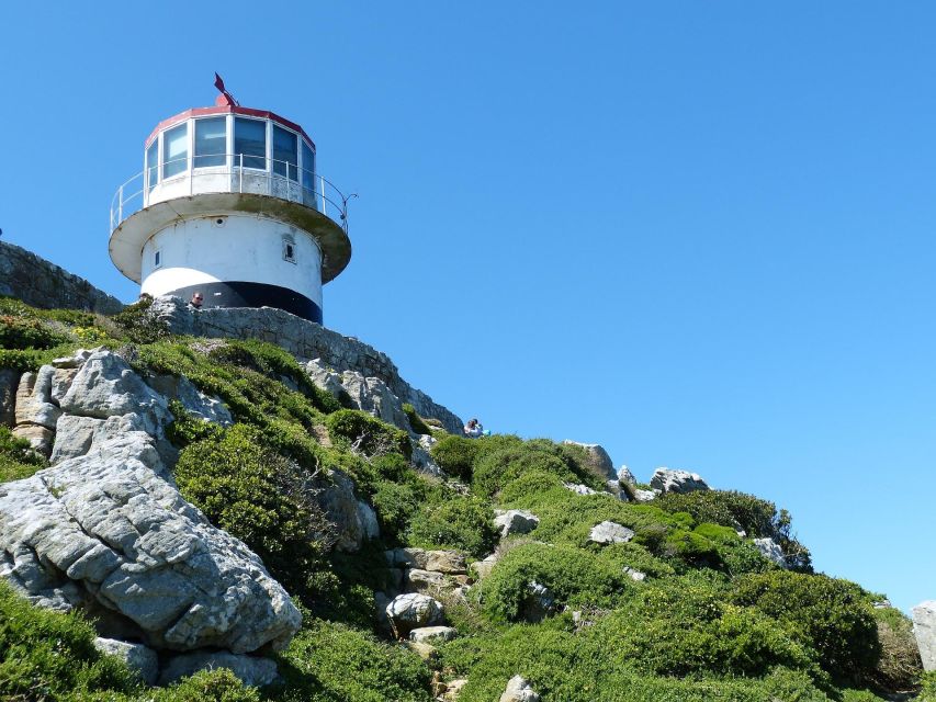 Cape Point & Peninsula Full Day Tour - Included Services