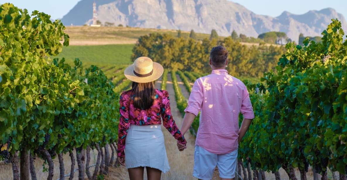 Cape Town: 3 Regions Private Cape Winelands Tour - Itinerary