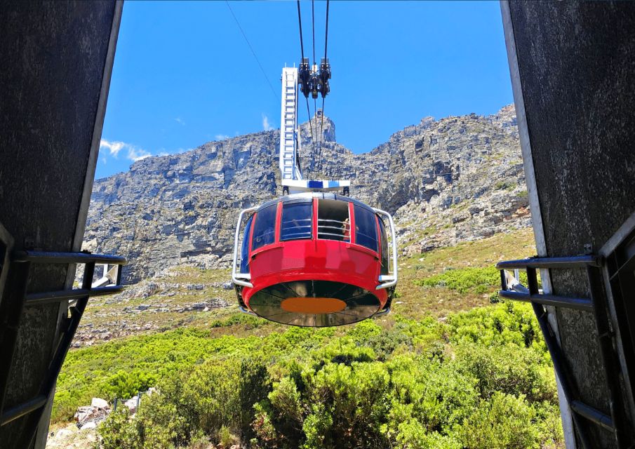 Cape Town City Tour: Table Mountain, Kirstenbosch & Wine - Detailed Itinerary