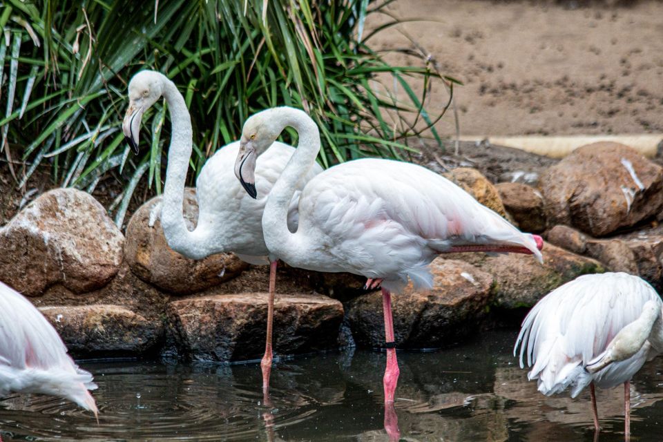 Cape Town for Children: Family Tour - Hands-On Science and Learning Activities