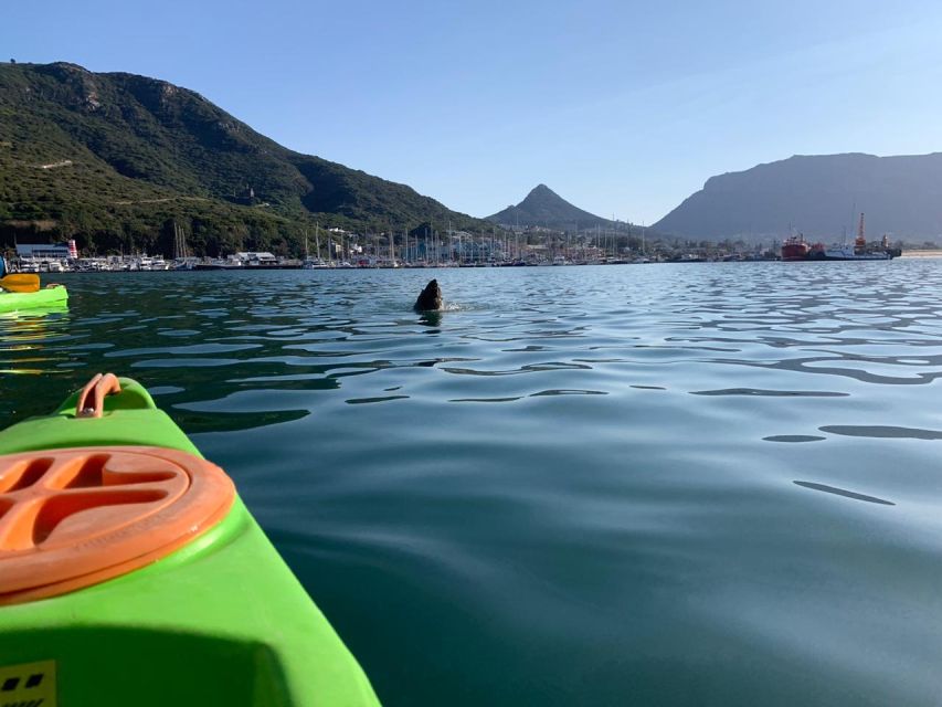 Cape Town: Guided Kayaking in Hout Bay - Booking Information
