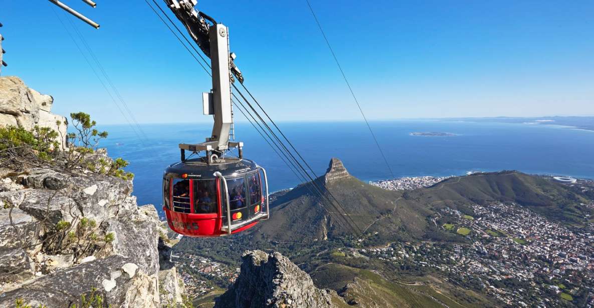Cape Town: Half-Day City Tour - Guides Performance and Highlights