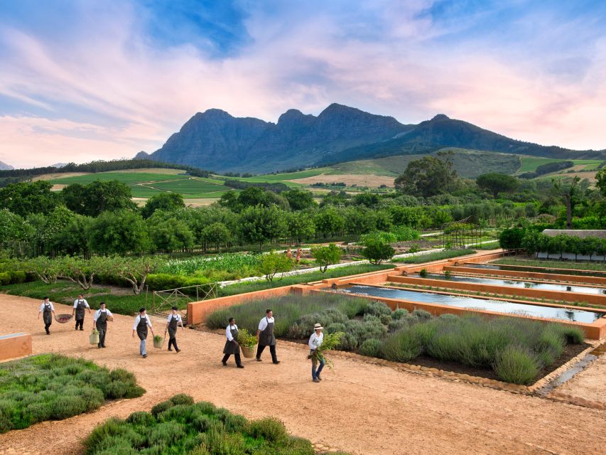 Cape Town: Half-Day Wineries and Tastings Small Group Tour - Wine Tasting Experience Highlights