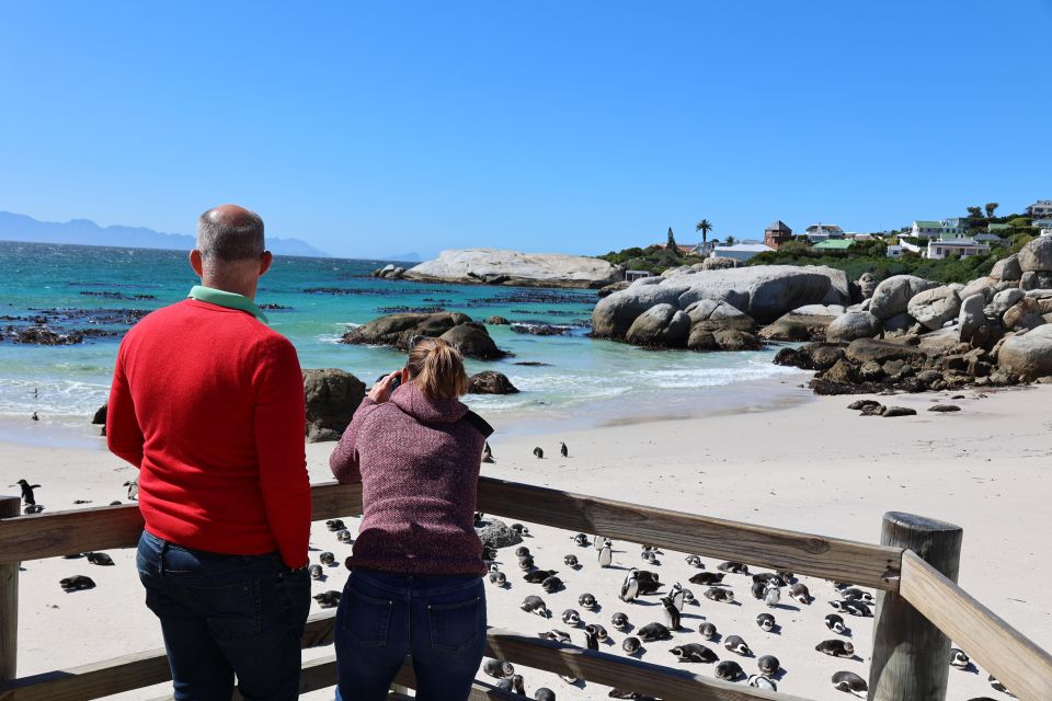 Cape Town: Penguin Watching at Boulders Beach Half Day Tour - Tour Details