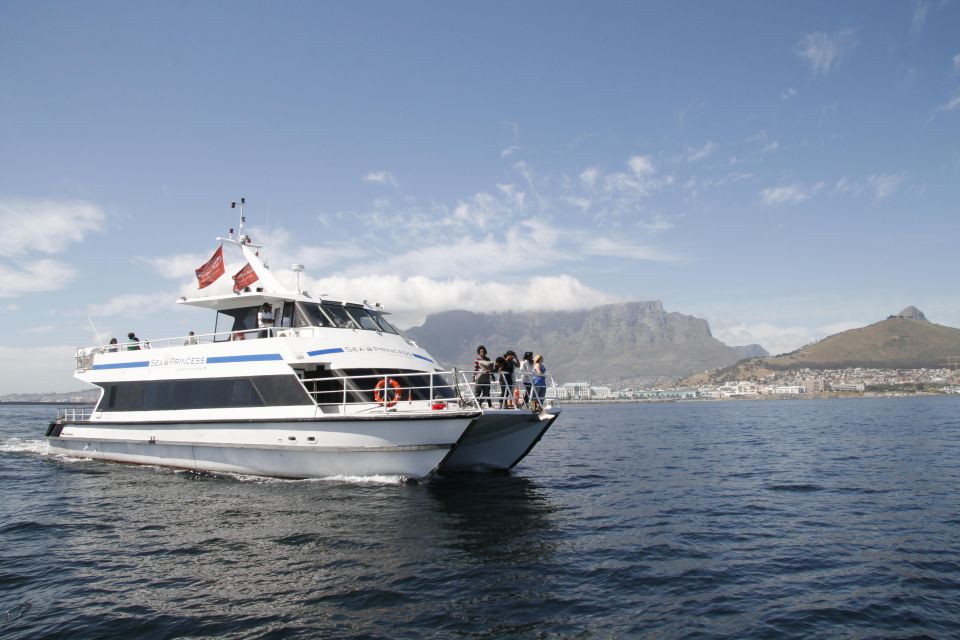 Cape Town: Pre-Sunset Champagne Cruise - Important Information and Considerations