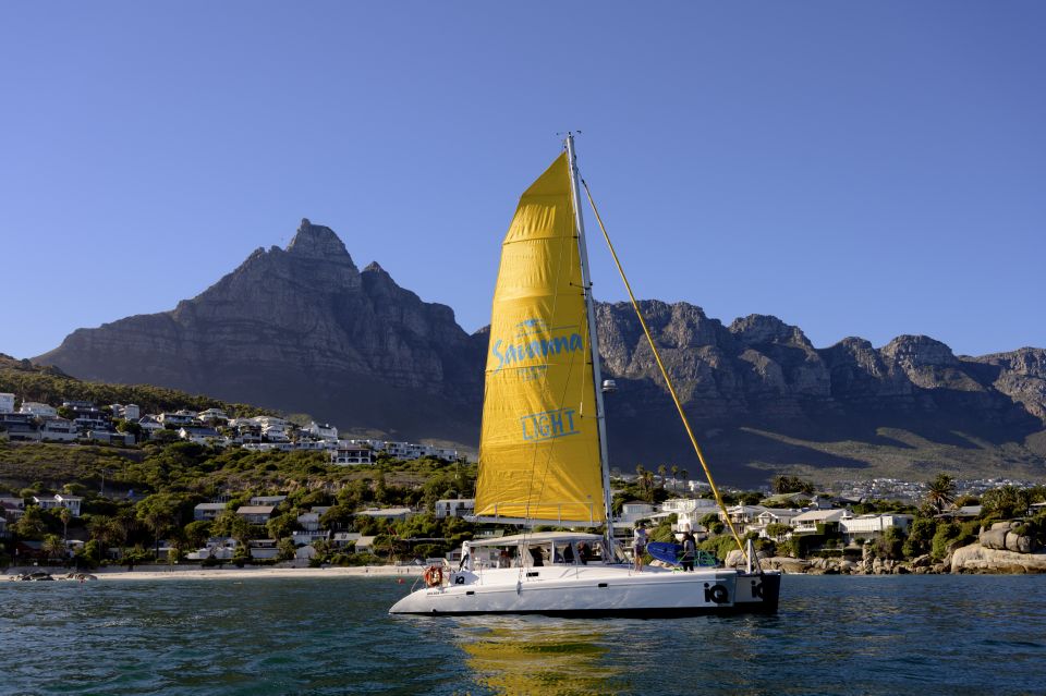 Cape Town: V&A Waterfront Champagne Cruise - Review Summary