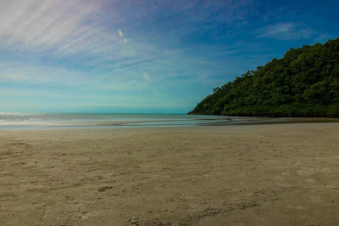 Cape Tribulation Day Tour - Traveler Photos