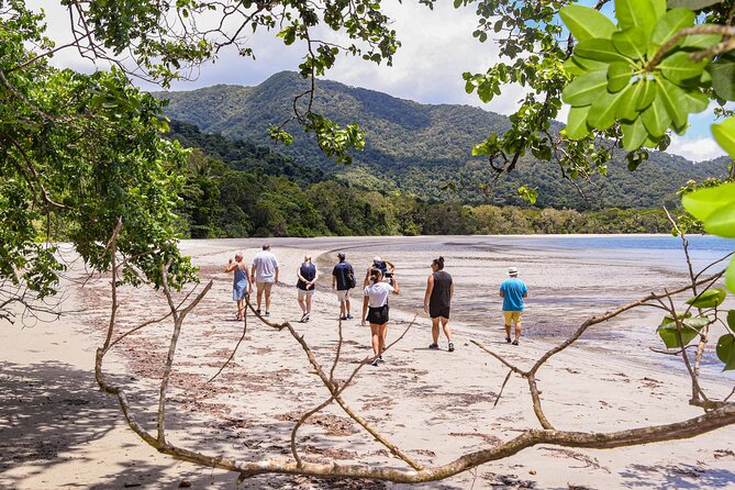 Cape Tribulation & Ziplining: Ultimate Daintree - Booking Information