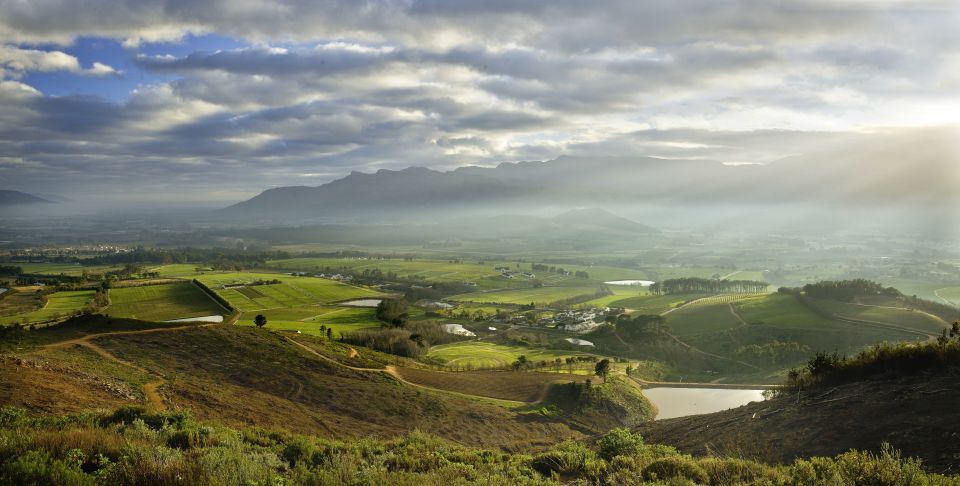 Capetown Winelands Half Day Tour With Local Guide - Complimentary Hotel Pick-Up Details