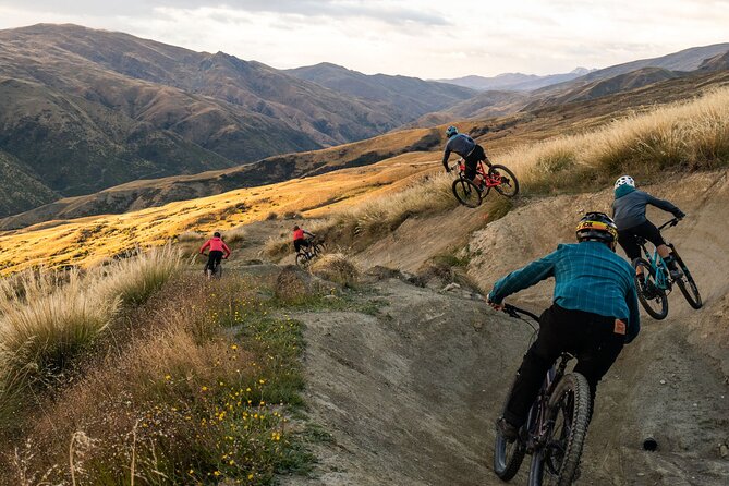 Cardrona Mountain Bike Lift Pass & Rental Package - Reviews and Ratings Summary