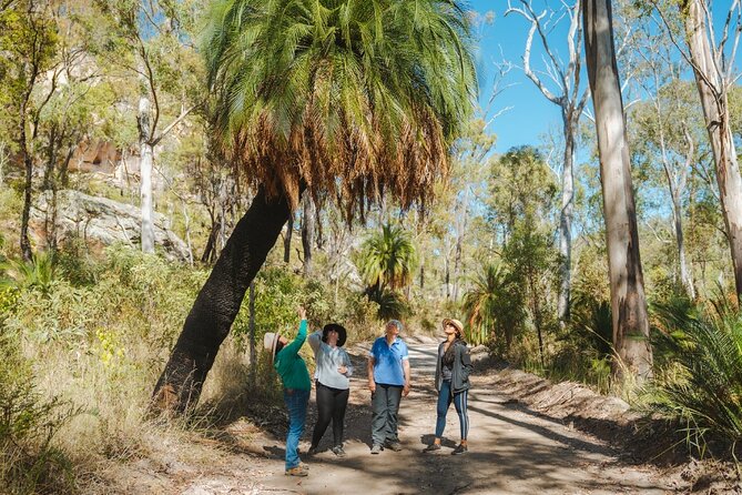 Carnarvon Range Day Tour With an Ecologist Guide (Mar ) - Rock Formations and Aboriginal Art