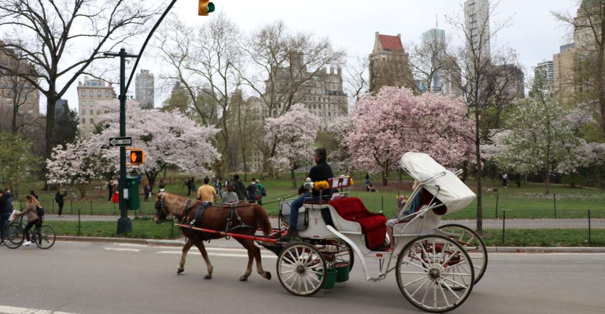 Carriage Ride To/From Tavern on the Green (Up to 4 Adults) - Payment Flexibility