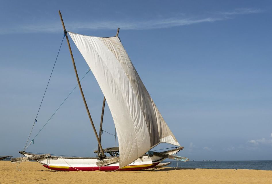 Catamaran Sunset Sailing in Trincomalee - Safety Measures