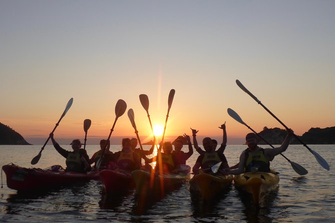 Cathedral Cove Kayak Tour - Guide Expertise