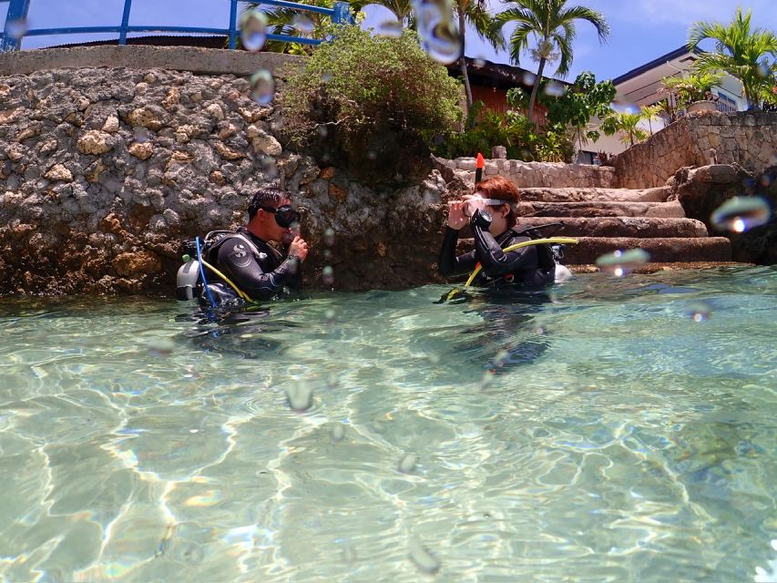 Cebu: Mactan Island Scuba Diving Experience Beach Entry - Customer Experience and Reviews