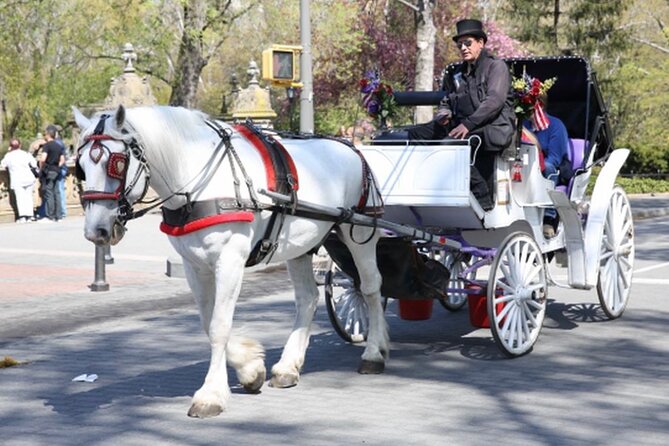 Central Park and NYC Horse Carriage Ride OFFICIAL ( ELITE Private) Since 1970 - Meeting and Cancellation Policy