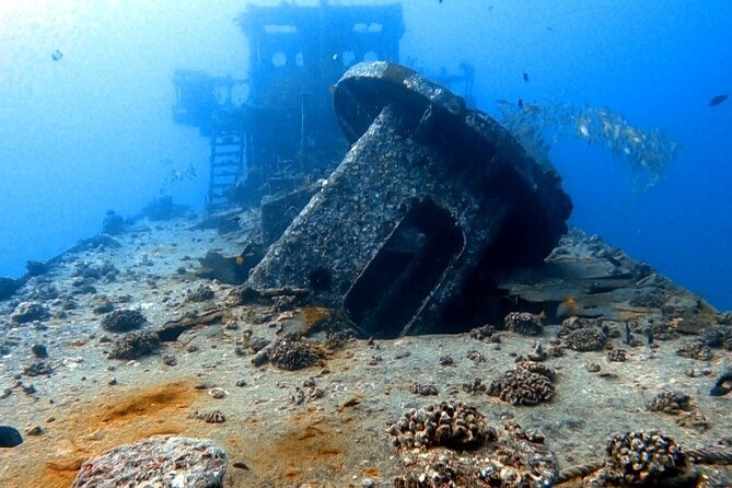 Certified Diver:2-Tank Deep Wreck and Shallow Reef Dives off Oahu - Additional Information