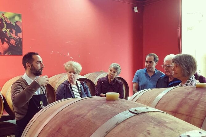 Cesani Wine Experience - Wine Making Process