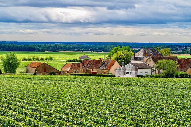 Chablis 15 Exquisite Wines Tasting Trip in Small-Group From Paris - Small-Group Experience