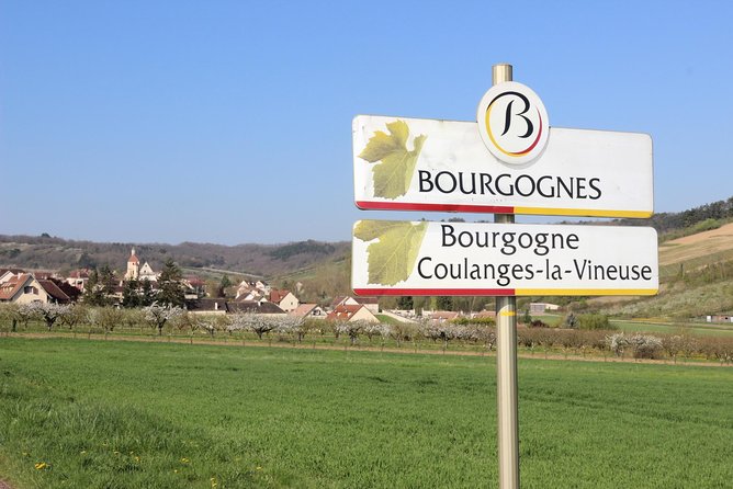 Chablis & Northern Burgundy Wine Tour - Schedule Options