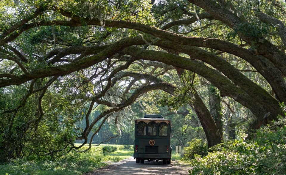 Charleston: Wadmalaw Island Wine Tasting and Tea Garden Trip - Review Summary