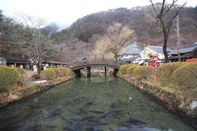 Chartered Private Tour - Tokyo to Nikko, Toshogu, Edo Wonderland - Cancellation Policy Details