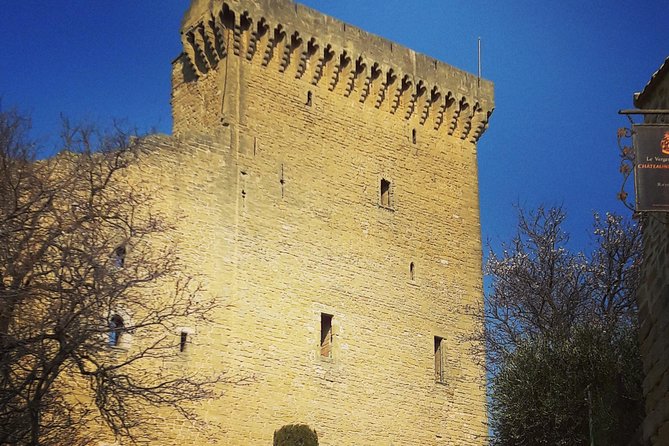 Chateauneuf-Du-Pape Prestige Wine Tour From Avignon - Tour Highlights