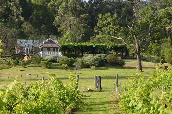 Chef-Led Hunter Valley Gourmet Food and Wine Day Tour From Sydney - Cancellation Policy Details