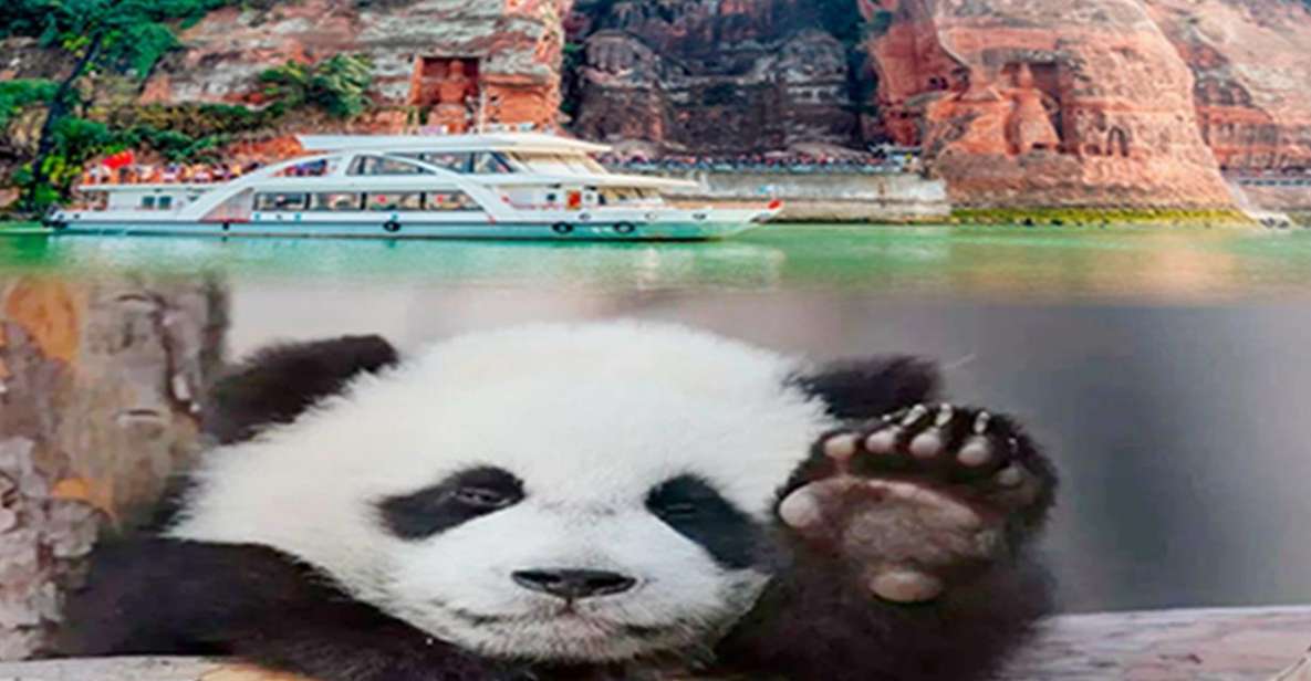 Chengdu Panda & Leshan Buddha One Day Private Tour - Inclusions