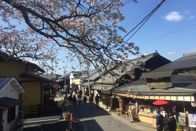 Cherry Blossom Buddha and Mt.Yoshino With Strawberry Picking Tour - Additional Information