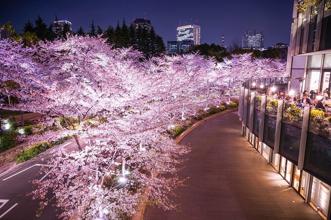 Cherry Blossom Private Tour - Booking Information