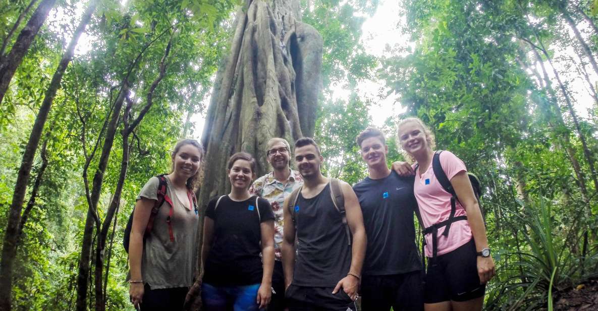 Chiang Mai: 6-Hour Doi Pui National Park Summit Hike - Booking Options