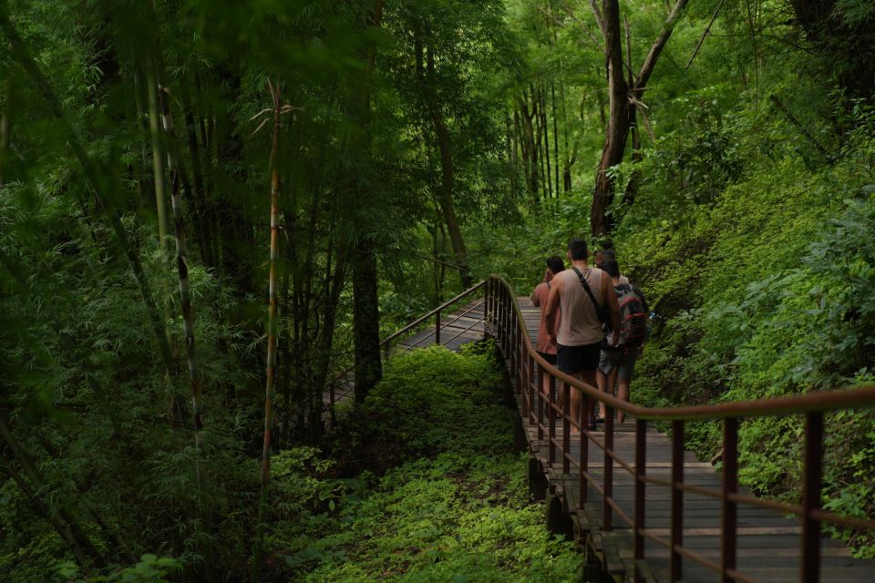 Chiang Mai: Bua Thong Sticky Waterfall and Huge Cave Tour - Experience Highlights