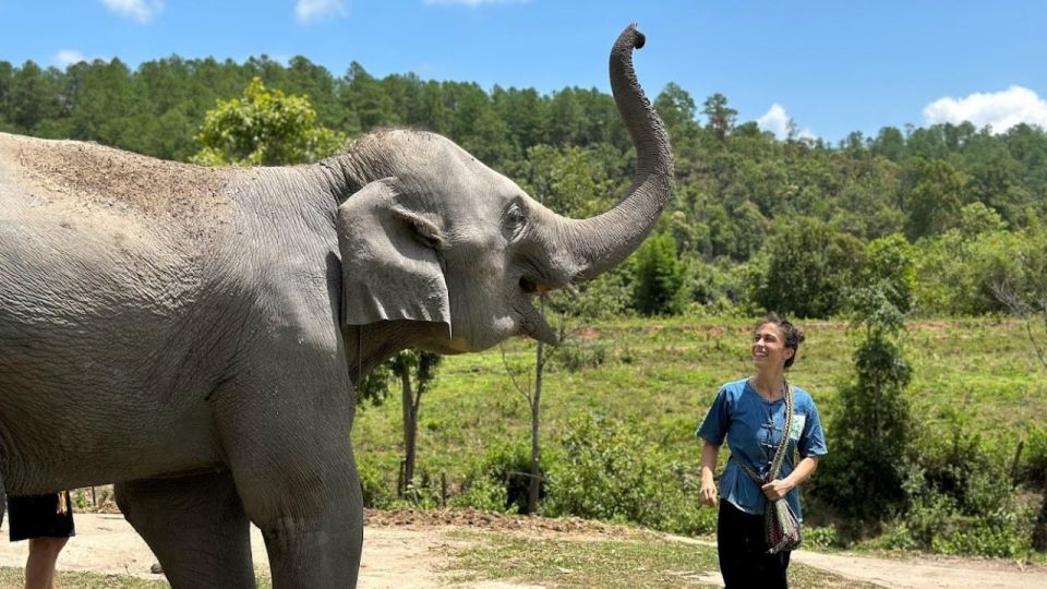 Chiang Mai: Doi Inthanon and Elephant Sanctuary Tour & Hike - Highlights of the Day