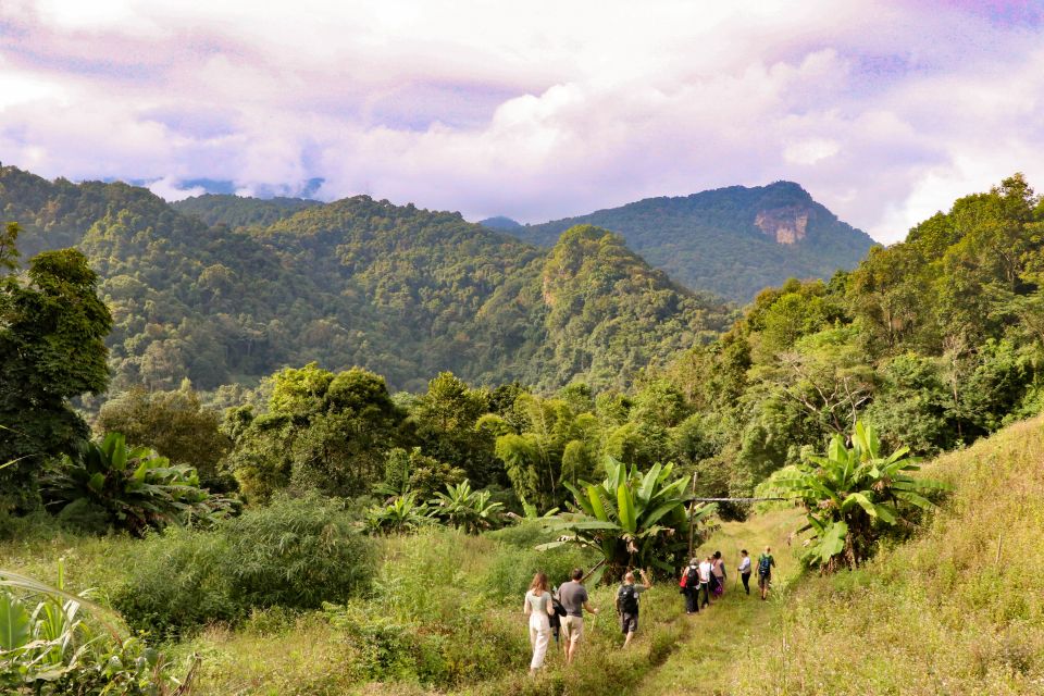 Chiang Mai: Doi Inthanon Highlights and Hiking Private Tour - Customer Reviews