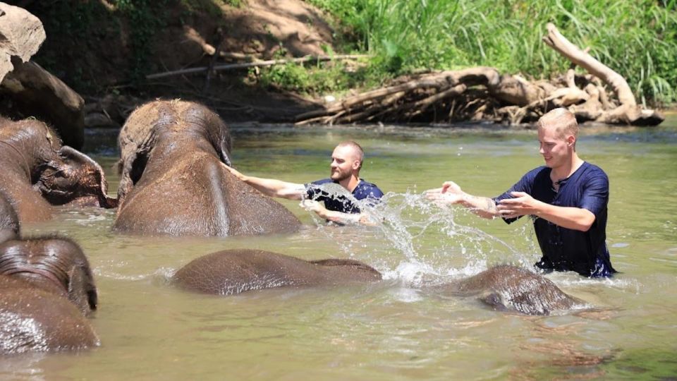 Chiang Mai: Elephant Sanctuary Interactive Tour - Transportation Details